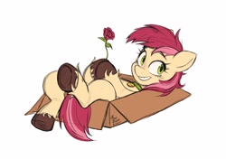 Size: 2560x1802 | Tagged: safe, artist:fanzeem, imported from derpibooru, roseluck, earth pony, pony, behaving like a cat, box, collar, commission, commissioner:doom9454, cute, female, flower, looking at you, lying down, mare, on back, pet tag, pony in a box, pony pet, rose, rosepet, simple background, smiling, smiling at you, solo, unshorn fetlocks, white background