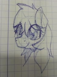 Size: 2195x2955 | Tagged: safe, artist:sefastpone, imported from derpibooru, oc, oc only, pony, female, graph paper, high res, lined paper, mare, photo, sketch, solo, traditional art