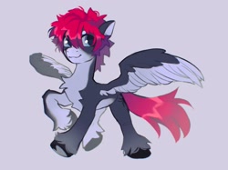 Size: 1798x1346 | Tagged: safe, artist:draw3, imported from derpibooru, oc, oc only, oc:robal, pegasus, pony, solo