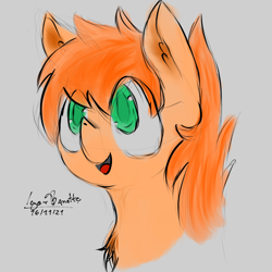 Size: 1000x1000 | Tagged: safe, artist:igorbanette, imported from derpibooru, oc, oc only, oc:spice flare, pony, bust, solo