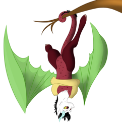 Size: 478x494 | Tagged: safe, artist:schokocream, imported from derpibooru, oc, oc only, draconequus, draconequus oc, prehensile tail, simple background, solo, tail, tree branch, upside down, white background, wings