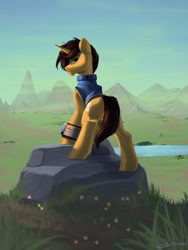 Size: 1227x1631 | Tagged: safe, artist:shido-tara, imported from derpibooru, oc, oc only, pony, unicorn, fallout equestria, clothes, grass, horn, looking back, mountain, pipbuck, rock, scenery, unicorn oc