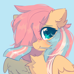 Size: 618x613 | Tagged: safe, artist:mirtash, imported from derpibooru, fluttershy, pegasus, pony, blue background, pride, pride flag, simple background, solo, transgender pride flag