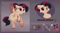 Size: 3460x1952 | Tagged: safe, artist:raily, imported from derpibooru, oc, oc only, oc:golden arrow, pegasus, pony, reference sheet, solo