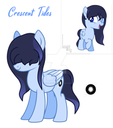 Size: 1280x1446 | Tagged: safe, artist:hate-love12, imported from derpibooru, oc, oc only, oc:crescent tides, pegasus, pony, female, filly, mare, simple background, solo, transparent background
