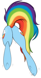 Size: 1140x2146 | Tagged: safe, artist:beamybutt, imported from derpibooru, rainbow dash, pony, backwards cutie mark, both cutie marks, butt, butt only, plot, simple background, solo, tail, transparent background, underhoof