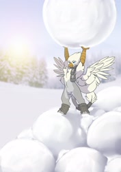 Size: 2481x3507 | Tagged: safe, artist:arctic-fox, imported from derpibooru, oc, oc only, oc:der, griffon, chest fluff, clothes, griffon oc, high res, scarf, snow, snowball, solo