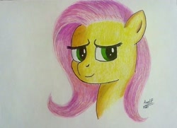 Size: 1534x1112 | Tagged: safe, artist:axelp, imported from derpibooru, fluttershy, cute, shyabetes, traditional art