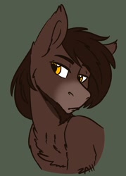 Size: 962x1342 | Tagged: safe, artist:zahsart, imported from derpibooru, oc, oc only, oc:jokul, earth pony, pony, chest fluff, lidded eyes frown, solo