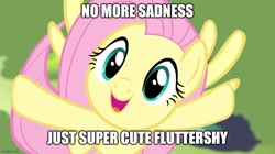 Size: 888x499 | Tagged: safe, edit, edited screencap, imported from derpibooru, screencap, fluttershy, pegasus, pony, filli vanilli, caption, cute, female, flying, happiness, image macro, mare, shyabetes, smiling, solo, text