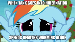 Size: 888x499 | Tagged: safe, edit, edited screencap, imported from derpibooru, screencap, rainbow dash, pegasus, pony, grannies gone wild, caption, female, floppy ears, image macro, implied tank, looking at you, mare, sad, solo, text