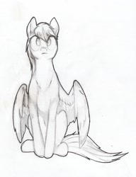 Size: 3042x3961 | Tagged: safe, artist:foxtrot3, imported from derpibooru, oc, oc only, oc:light winds, pegasus, pony, female, high res, mare, solo, traditional art