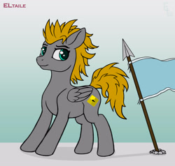 Size: 3000x2856 | Tagged: safe, artist:eltaile, imported from derpibooru, oc, oc only, oc:platinumdrop, pegasus, pony, equestria, flag, high res, male, solo, spear, weapon