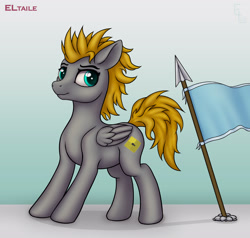 Size: 3000x2856 | Tagged: safe, artist:eltaile, imported from derpibooru, oc, oc only, oc:platinumdrop, pegasus, pony, equestria, flag, high res, male, solo, spear, weapon