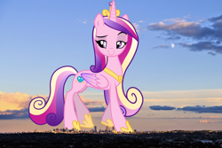 Size: 3000x2000 | Tagged: safe, artist:rustle-rose, imported from derpibooru, princess cadance, alicorn, pony, boston, crown, female, giant alicorn, giant cadance, giant pony, giantess, highrise ponies, irl, jewelry, macro, mare, massachusetts, mega giant, photo, ponies in real life, regalia