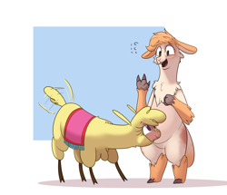 Size: 2516x2160 | Tagged: safe, artist:hitsuji, imported from derpibooru, oc, oc:olli (braeburned), alpaca, them's fightin' herds, bipedal, blanket, cloven hooves, duo, high res, nervous, paprika (tfh), simple background, smiling, tail, tail wag