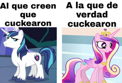 Size: 720x487 | Tagged: safe, imported from derpibooru, princess cadance, shining armor, implied infidelity, meme, princess cuckdance, spanish, translated in the comments, unshorn fetlocks