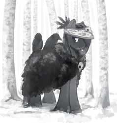 Size: 2651x2782 | Tagged: safe, artist:anonymous, imported from derpibooru, oc, oc only, bird, pony, raven (bird), breath, cloak, clothes, female, forest, high res, mare, skull, snow, snow mare, solo, tree, visor, yakutian horse