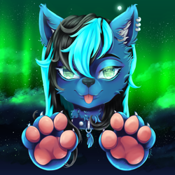 Size: 3000x3000 | Tagged: safe, artist:okidouchie, imported from derpibooru, oc, oc only, oc:moonshine, wolf, :p, aurora borealis, claws, cloud, collar, ear piercing, earring, floating head, furry, high res, jewelry, paw pads, paws, piercing, solo, stars, tongue out