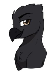 Size: 854x1163 | Tagged: safe, artist:zahsart, imported from derpibooru, oc, oc only, griffon, chest fluff, griffon oc, lidded eyes, looking at you, rule 63, simple background, smiling, solo, white background