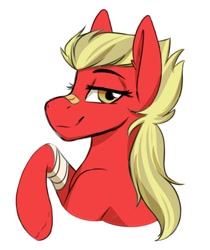 Size: 1258x1497 | Tagged: safe, artist:zahsart, imported from derpibooru, oc, oc only, earth pony, pony, bandage, bandaid, bandaid on nose, lidded eyes, looking at you, rule 63, simple background, smiling, solo, white background