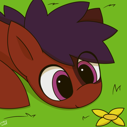 Size: 1768x1768 | Tagged: safe, artist:monycaalot, imported from derpibooru, oc, oc only, oc:mony caalot, earth pony, pony, cute, day, eye clipping through hair, female, flower, grass, lying, outdoors, pink eyes, simple background, smiling, solo