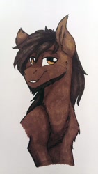 Size: 675x1200 | Tagged: safe, artist:zahsart, imported from derpibooru, oc, oc only, earth pony, pony, solo