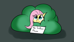 Size: 2756x1590 | Tagged: safe, artist:taurson, imported from derpibooru, fluttershy, pegasus, pony, bush, crying, cute, eye clipping through hair, female, hiding, high res, implied lesbian, mare, scared, shaking, shyabetes, sign, simple background, sitting, solo, teary eyes, trembling, wavy mouth