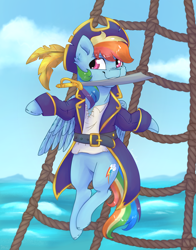 Size: 3300x4200 | Tagged: safe, artist:fanaticpanda, imported from derpibooru, rainbow dash, pegasus, pony, clothes, female, hat, jacket, mare, mouth hold, ocean, pirate, pirate hat, pirate rainbow dash, solo, sword, weapon