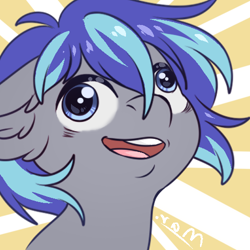 Size: 500x500 | Tagged: artist needed, safe, imported from derpibooru, oc, oc only, oc:turbulent wave, earth pony, pony, derp, faic, pudding face, smiling, solo