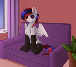 Size: 3881x3408 | Tagged: safe, artist:vetta, imported from derpibooru, oc, oc only, oc:lonny night, pegasus, pony, black socks, clothes, couch, female, heterochromia, high res, looking at you, mare, sitting, socks, solo, spread wings, window, wings