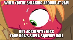 Size: 888x499 | Tagged: safe, edit, edited screencap, imported from derpibooru, screencap, big macintosh, earth pony, pony, caption, episode needed, image macro, male, relatable, scared, stallion, sweat, text