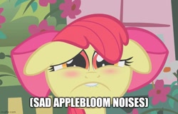 Size: 781x500 | Tagged: safe, edit, edited screencap, imported from derpibooru, screencap, apple bloom, earth pony, pony, call of the cutie, caption, descriptive noise, floppy ears, image macro, reaction image, sad, sadness, solo, text