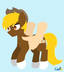 Size: 1380x1545 | Tagged: safe, artist:samsailz, imported from ponybooru, oc, oc only, oc:acres, earth pony, human, pony, blonde, blonde mane, blonde tail, blue background, brown coat, carrying, coat markings, cowboy hat, earth pony oc, hand, hat, holding a pony, lifting, male, signature, simple background, socks (coat marking), solo, stallion