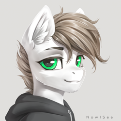 Size: 4000x4000 | Tagged: safe, artist:inowiseei, imported from derpibooru, oc, oc only, oc:alex, pony, absurd resolution, bust, clothes, hoodie, male, portrait, solo, stallion