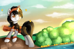 Size: 1280x854 | Tagged: safe, artist:appleneedle, imported from derpibooru, oc, oc:gian, butterfly, pony, unicorn, clothes, costume, knight, nature