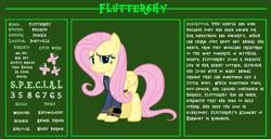 Size: 11720x6000 | Tagged: safe, artist:andoanimalia, artist:ponygamer2020, imported from derpibooru, fluttershy, pegasus, pony, fallout equestria, bio, clothes, cute, fallout, fallout equestria: character guide, female, jumpsuit, mare, pipboy, reference sheet, s.p.e.c.i.a.l., shyabetes, solo, vault suit, vector