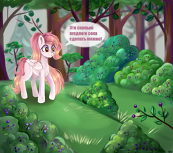 Size: 2501x2201 | Tagged: safe, artist:ske, imported from derpibooru, oc, oc only, pegasus, pony, blueberry, cyrillic, female, food, forest, high res, mare, russian, solo, trade, wings