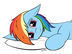 Size: 1367x1033 | Tagged: safe, artist:wapamario63, imported from ponybooru, rainbow dash, pony, colored, cute, dashabetes, ears, female, flat colors, floppy ears, looking at you, mare, offscreen character, pillow, pov, simple background, solo, transparent background