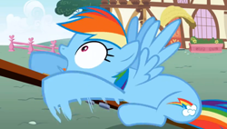 Size: 1246x710 | Tagged: safe, imported from derpibooru, screencap, rainbow dash, pegasus, pony, applebuck season, season 1, female, mare, open mouth, shocked, shocked expression, solo, spread wings, wings