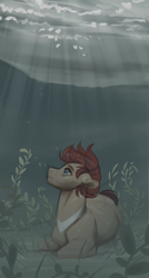 Size: 1026x1920 | Tagged: safe, artist:royvdhel-art, imported from derpibooru, oc, oc only, earth pony, pony, blue eyes, bubble, crepuscular rays, earth pony oc, flowing mane, lake, looking up, lying down, male, outdoors, quick draw, red mane, seaweed, solo, stallion, sunlight, underwater, water
