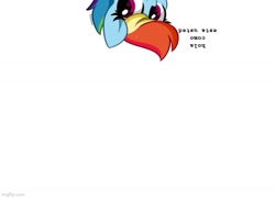 Size: 693x499 | Tagged: safe, artist:kittyrosie, edit, imported from derpibooru, rainbow dash, pony, cute, dashabetes, meme, simple background, solo, spanish, spanish text, translated in the comments, upside down, upside down face, upside down text, white background