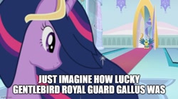 Size: 888x499 | Tagged: safe, edit, edited screencap, imported from derpibooru, screencap, gallus, twilight sparkle, alicorn, griffon, the last problem, canterlot, caption, duo, female, image macro, male, meme, older, older gallus, older twilight, princess twilight 2.0, royal guard, royal guard gallus, text, twilight sparkle (alicorn)