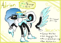 Size: 3597x2545 | Tagged: safe, artist:beamybutt, imported from derpibooru, oc, oc:adrian, pony, ear fluff, high res, hoof fluff, male, raised hoof, reference sheet, stallion, wings