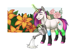 Size: 1861x1324 | Tagged: safe, artist:royvdhel-art, imported from derpibooru, oc, oc only, pony, unicorn, colored hooves, flower, glowing, glowing horn, horn, magic, outdoors, simple background, solo, telekinesis, unicorn oc, watering can, white background