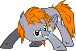 Size: 3706x2481 | Tagged: safe, artist:lincolnbrewsterfan, derpibooru exclusive, imported from derpibooru, rainbow dash, oc, oc only, oc:dreamy orange, pegasus, pony, derpibooru community collaboration, .svg available, 2022 community collab, butt fluff, cheek fluff, cutie mark, determined smile, dreamworks face, ear fluff, face down ass up, fluffy, folded wings, gray, green eyes, grin, high res, hoof fluff, inkscape, looking at you, male, mouth hold, orange (color), pegasus oc, plushie, pointy ponies, simple background, smiling, smiling at you, solo, stallion, stance, standing, svg, transparent background, vector, wing fluff, wings