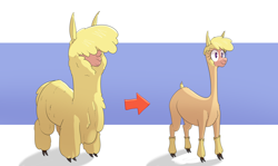 Size: 3280x1956 | Tagged: safe, artist:hitsuji, imported from derpibooru, alpaca, them's fightin' herds, before and after, cloven hooves, community related, fluffy, paprika (tfh), simple background, solo