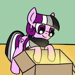 Size: 800x800 | Tagged: safe, artist:thedragenda, imported from derpibooru, oc, oc only, oc:ace, earth pony, pony, ask-acepony, box, female, mare, solo