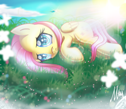 Size: 2650x2300 | Tagged: safe, artist:opal_radiance, imported from derpibooru, fluttershy, rainbow dash, butterfly, pegasus, pony, blushing, cloud, crepuscular rays, cute, duo, female, folded wings, grass, lens flare, looking at you, lying down, mare, outdoors, sad, sadorable, shiny eyes, shyabetes, side, solo focus, sparkly eyes, wingding eyes, wings