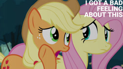 Size: 1280x720 | Tagged: safe, edit, edited screencap, editor:quoterific, imported from derpibooru, screencap, applejack, fluttershy, earth pony, pegasus, pony, maud pie (episode), season 4, applejack's hat, cowboy hat, female, hat, mare, open mouth